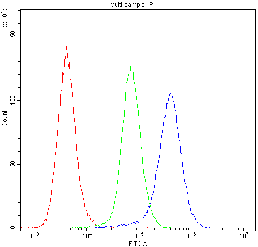 IDE Antibody