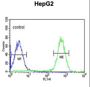 TESC Antibody (aa88-116)