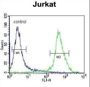Polyclonal Rabbit anti-Human MOGAT3 Antibody (aa295-329, WB)