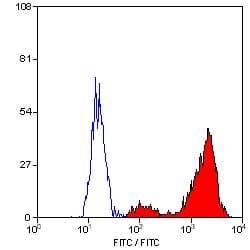CD68 Antibody (clone ED1, FITC)