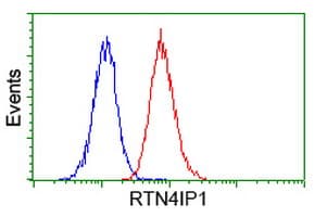 RTN4IP1 / NIMP Antibody (clone OTI1E1, Carrier-free)