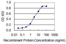 PPP1R8 / Rnase E Antibody (clone 1G11)