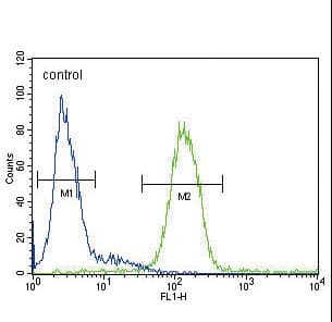 CP / Ceruloplasmin Antibody (aa547-577)