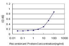 IHC-plus™ SYT1 / Synaptotagmin Antibody (clone 1A6)