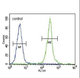 IHC-plus™ CLDN16 / Claudin 16 Antibody (aa6-33)