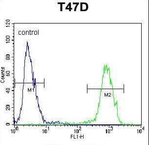 Proenkephalin / PENK Antibody (aa145-174)