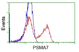PSMA7 Antibody (clone OTI5E3)