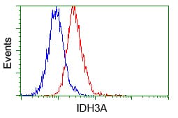 IDH3A Antibody (clone OTI2F11)