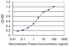 Monoclonal Mouse anti-Human CHGA / Chromogranin A Antibody (clone 4D6)