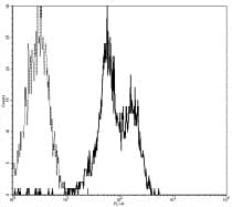 ITGAL / CD11a Antibody (clone HI111, FITC)
