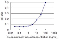 CLPP Antibody (clone 3E2)