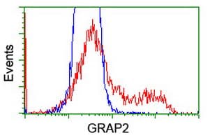 GRAP2 / GRID Antibody (clone OTI1G2)