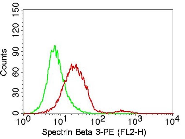 SPTBN2 Antibody