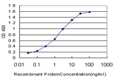 NFYB Antibody (clone 6H6)