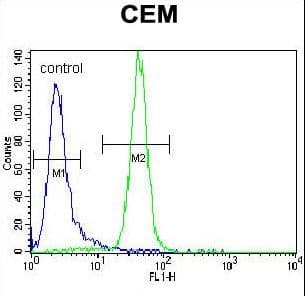 PPARA / PPAR Alpha Antibody (aa153-181)