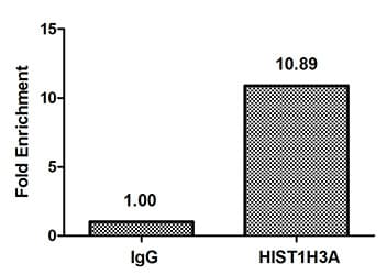 HIST1H3A Antibody