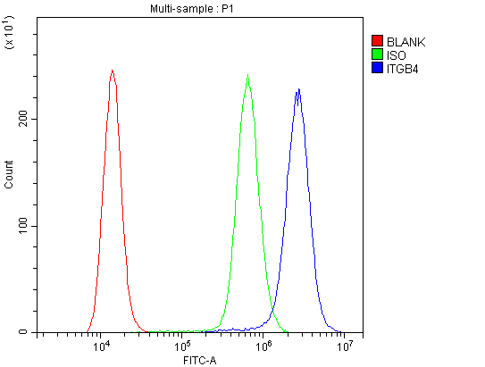 ITGB4 / Integrin Beta 4 Antibody (aa28-266)