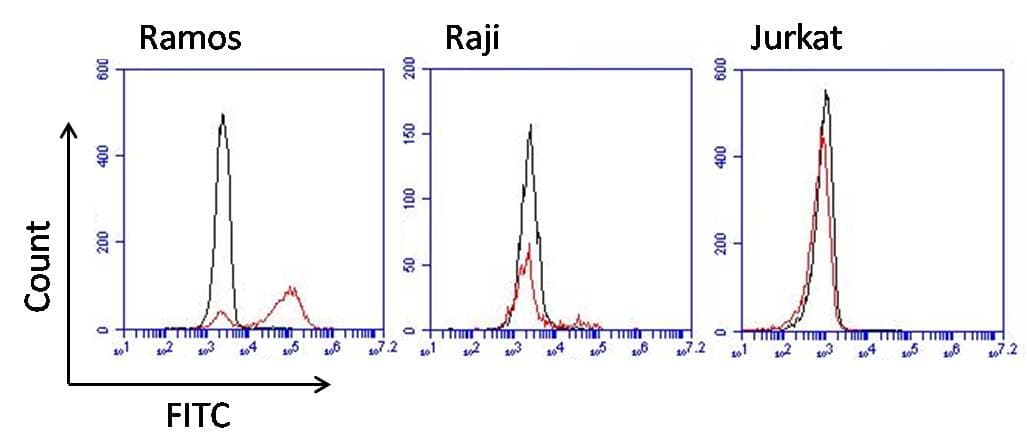 Mouse Anti-Human IgM Secondary Antibody