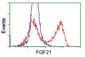 FGF21 Antibody (clone OTI1B4)