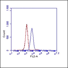 OSCAR Antibody (clone 5B8)