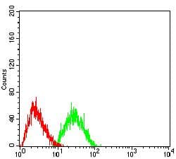 CLEC7A / Dectin 1 Antibody (clone 4G2G6)