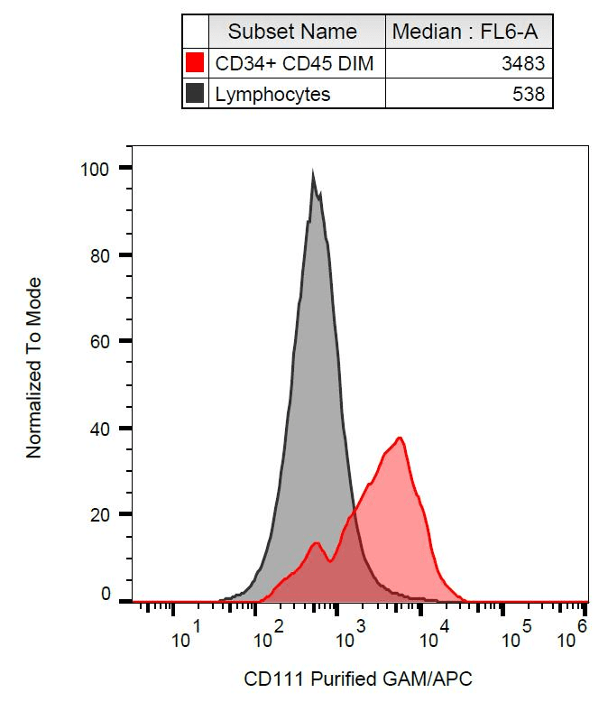 Nectin-1 / PVRL1 Antibody (clone R1.302)