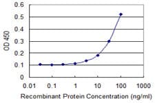 EPB42 Antibody (clone 2G12)