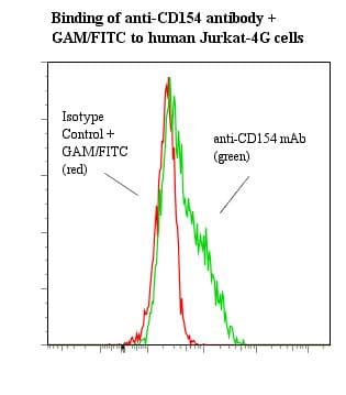 Monoclonal Mouse anti-Human CD40L Antibody (clone 24-31, IHC, WB)