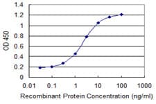 CHRNE Antibody (clone 6A2)