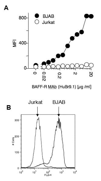 BAFF Receptor / CD268 Antibody (clone HuBR9.1)