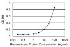 GPR84 Antibody (clone 5C3)