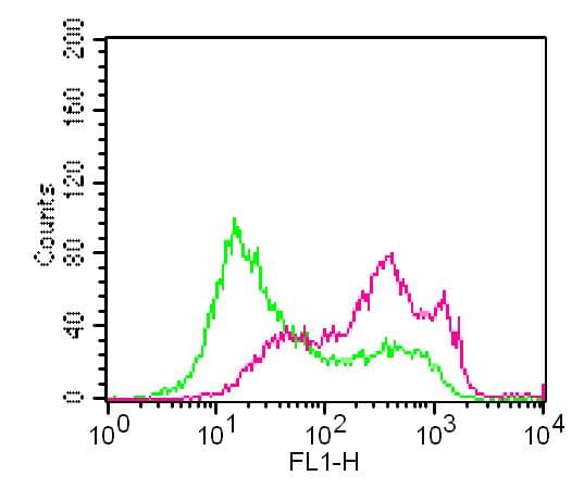 IHC-plus™ TLR3 Antibody (aa180-385, clone ABM24E5)