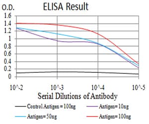 ER Alpha / Estrogen Receptor Antibody (Tyr537, clone 3C6C6)