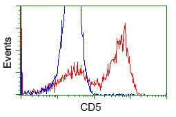 CD5 Antibody (clone OTI7A7)
