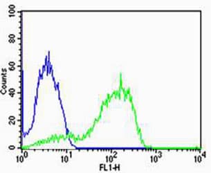 AGAP6 Antibody (C-Terminus)