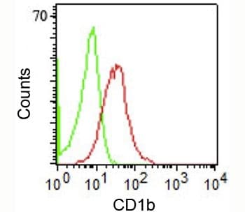 CD1B Antibody (clone RIV12)
