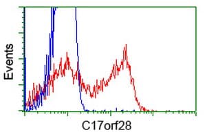 HID1 / C17orf28 Antibody (clone OTI1B10)