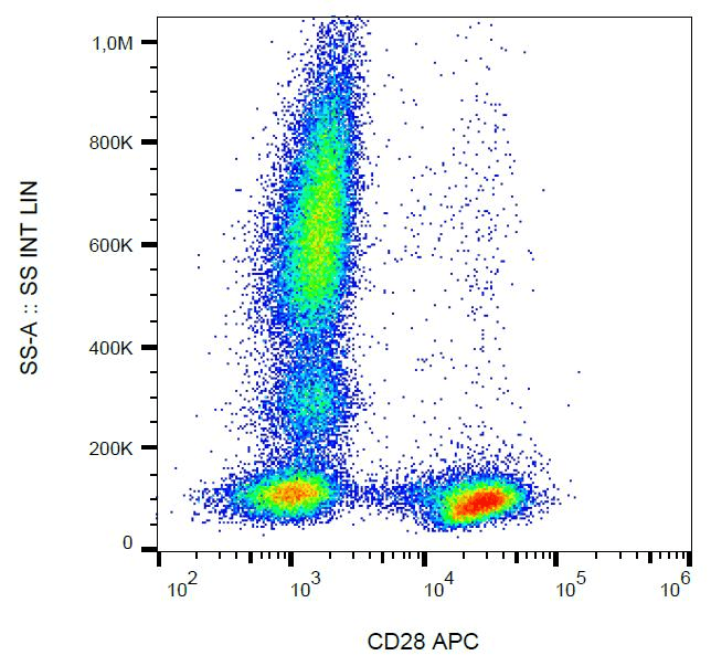 CD28 Antibody (clone CD28.2, APC)