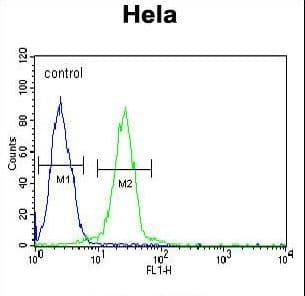 Polyclonal Rabbit anti-Human EWSR1 / EWS Antibody (aa628-656, IF, WB)