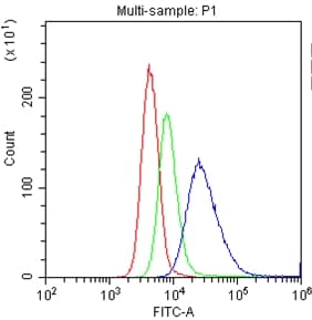 Polyclonal Rabbit anti-Human CD20 Antibody (aa1-261, IHC, WB)