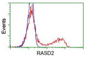 RASD2 Antibody (clone OTI1H10, Carrier-free)
