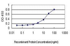 HSPA2 Antibody (clone S51)