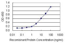 Monoclonal Mouse anti-Human ZNF134 Antibody (clone 2D10, WB)