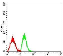CLEC9A Antibody (clone 5C7A7)