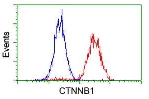 Monoclonal Mouse anti-Human CTNNB1 / Beta Catenin Antibody (clone UMAB15, Carrier-free, IHC, IF, WB)