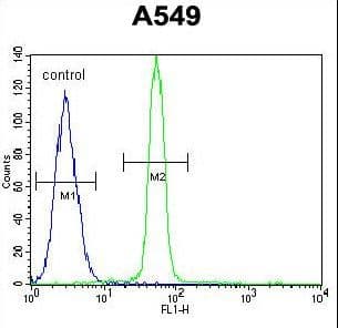 CREB1 / CREB Antibody (aa105-132)
