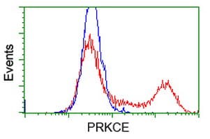 PRKCE / PKC-Epsilon Antibody (clone OTI2E9)