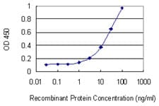 HnRNP U Antibody (clone 4G11)