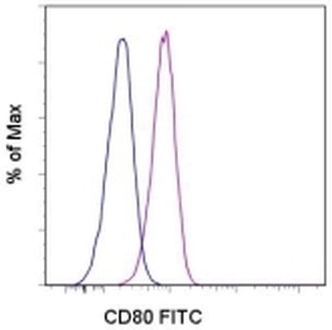 CD80 Antibody (clone 2D10.4, FITC)