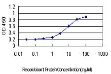 Monoclonal Mouse anti-Human ATP2B1 / PMCA1 Antibody (clone 3E2, WB)
